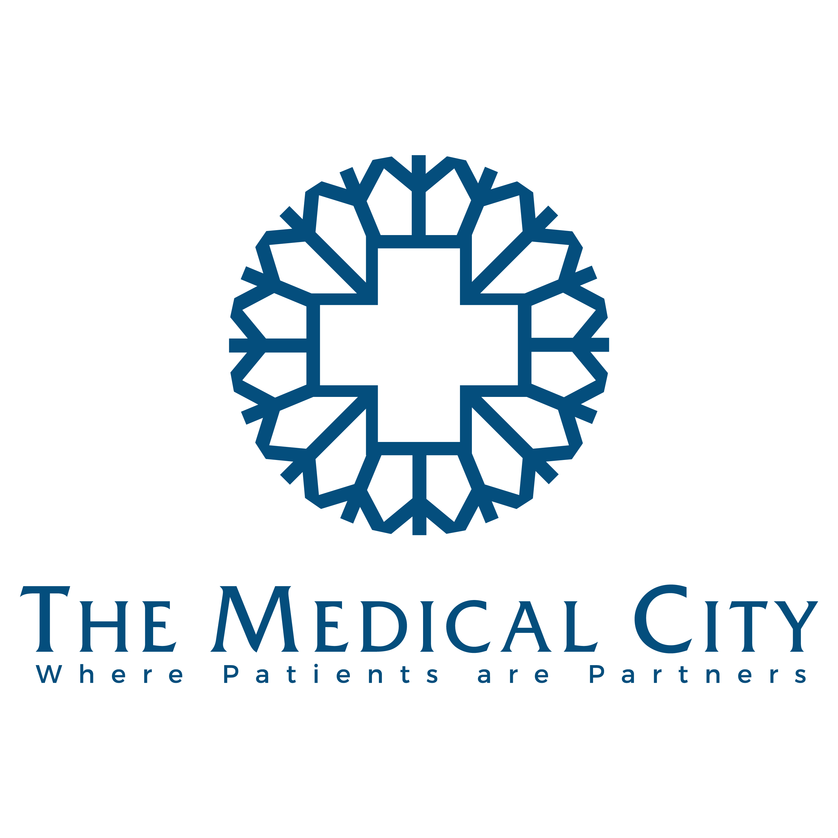 The Medical City